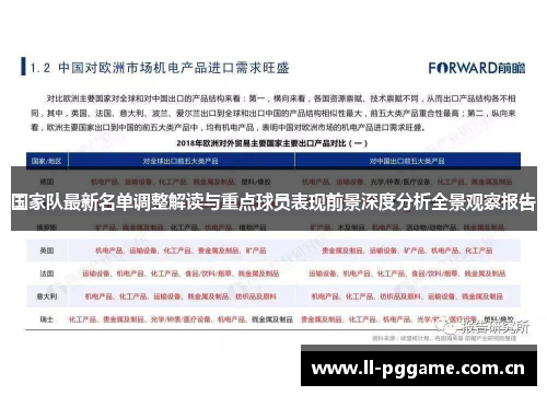 国家队最新名单调整解读与重点球员表现前景深度分析全景观察报告